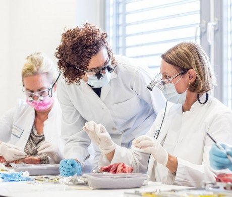   *In diesem Jahr feiert der Masterstudiengang Parodontologie und Implantattherapie der Universität Freiburg 15-jähriges Bestehen. 